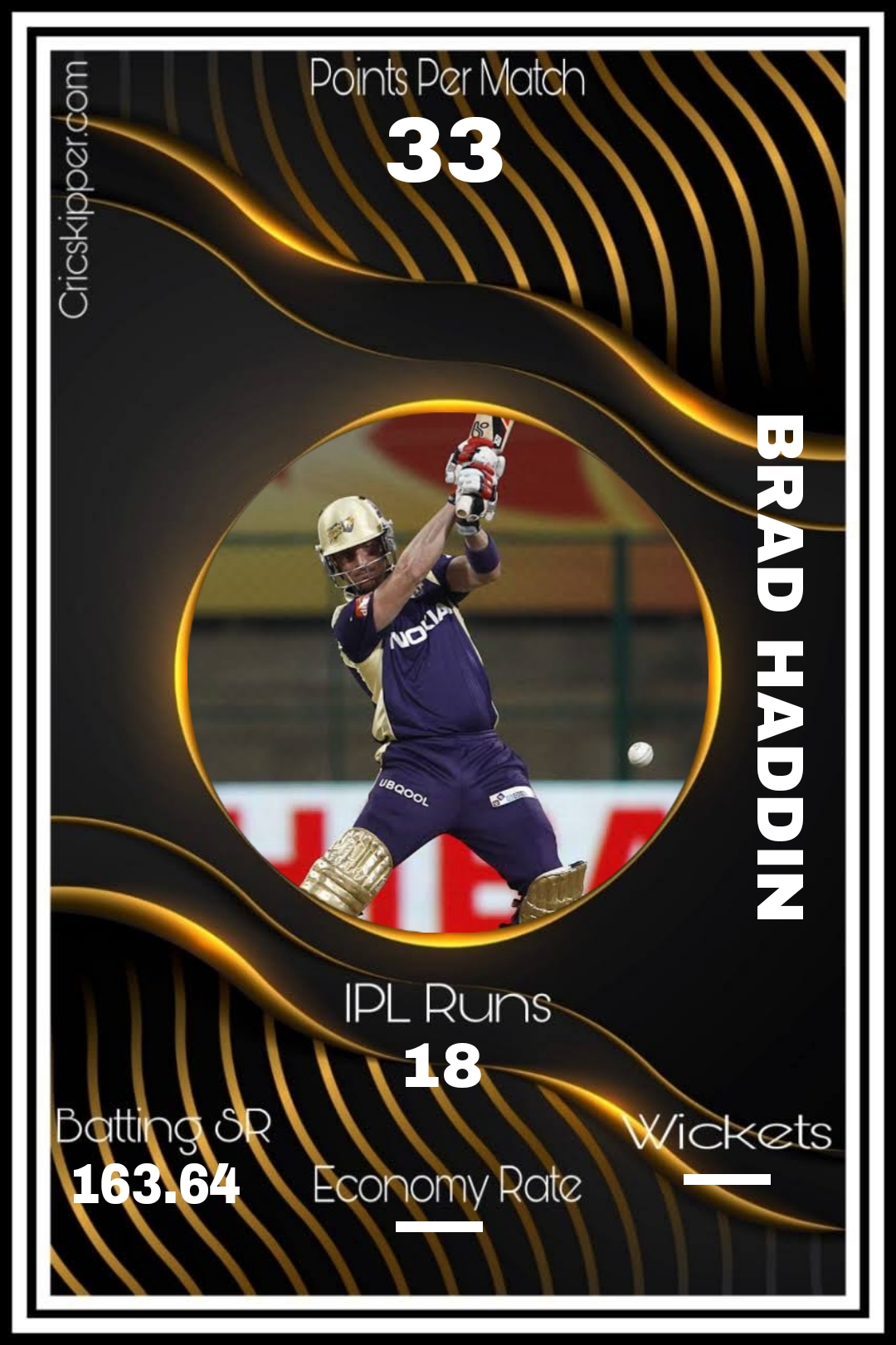 Brad_Haddin